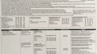 マレーシアの学生ビザ情報を留学経験者が徹底解説【取得方法から更新費用まで】
